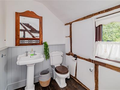 Picture 24